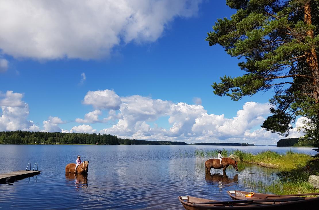 Reiterlebnis am Saimaa-See, Punkaharju