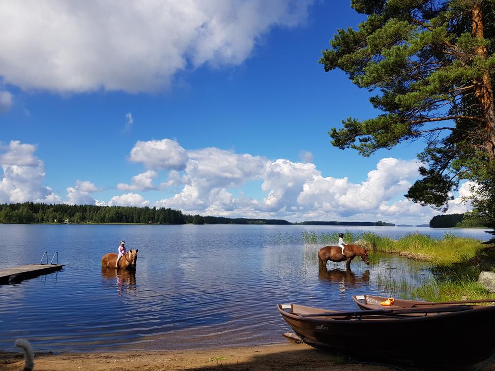Reiterlebnis am Saimaa-See, Punkaharju