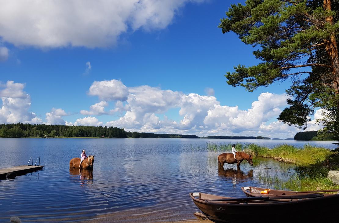 Reiterlebnis am Saimaa-See, Punkaharju